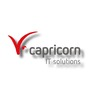 Capricorn Consulting GmbH